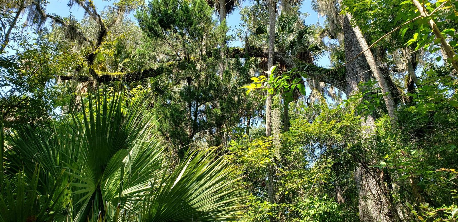 Napier & Hull Grant - Land