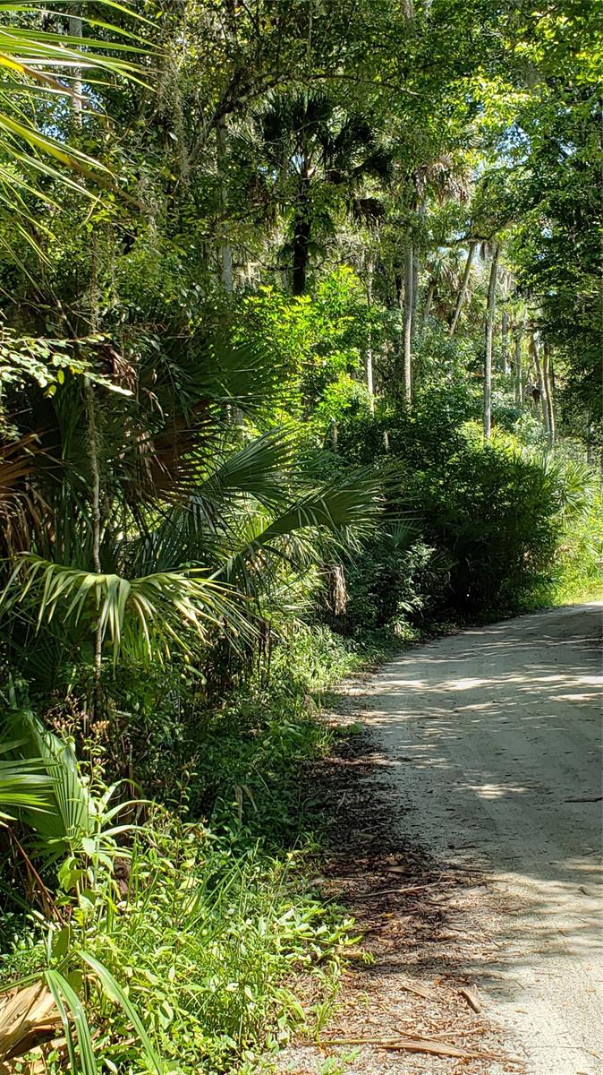 Napier & Hull Grant - Land