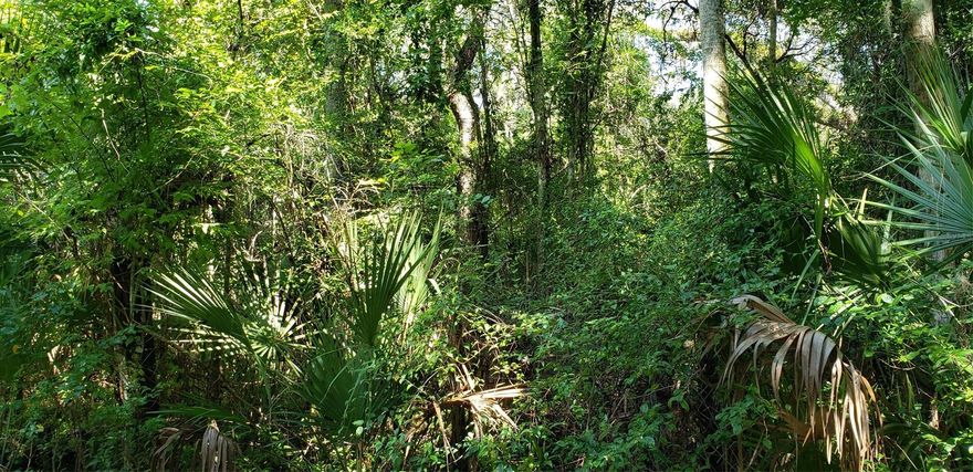 What a great location! 2.5 Acres in the sought after Corbin Park area. Existing homes on large lots, no overcrowding here! Plenty of room for your dream house and work shop! Create your own picture of Florida living. Feels like the country, but literally minutes to shopping, 95, the river, and the beach. Beautiful mature oaks abound on this lot! All information is thought to be reliable, but not guaranteed accurate.   Seller does not have any surveys or environmental studies available so Buyer should do their own due diligence.; Cleared: No