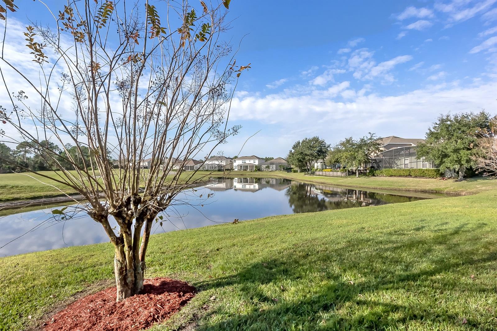 Grande Champion - Residential