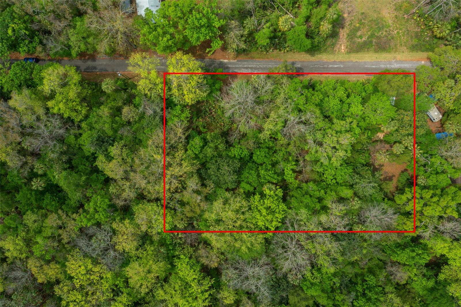 .66 Acres Vacant Land – Homosassa, FL
Just 9 minutes from the beautiful Gulf Coast waters, public boat ramp less than 2 miles, and top-rated local restaurants. This .66-acre lot is the perfect opportunity for investors, or families looking to build their dream. Nestled on a quiet dead-end road, access to city water, the property offers peace, privacy, and endless potential. Whether you're a fisherman seeking the ideal spot, an investor eyeing a prime location, or a family wanting space close to nature and the coast—this is your blank canvas in paradise.