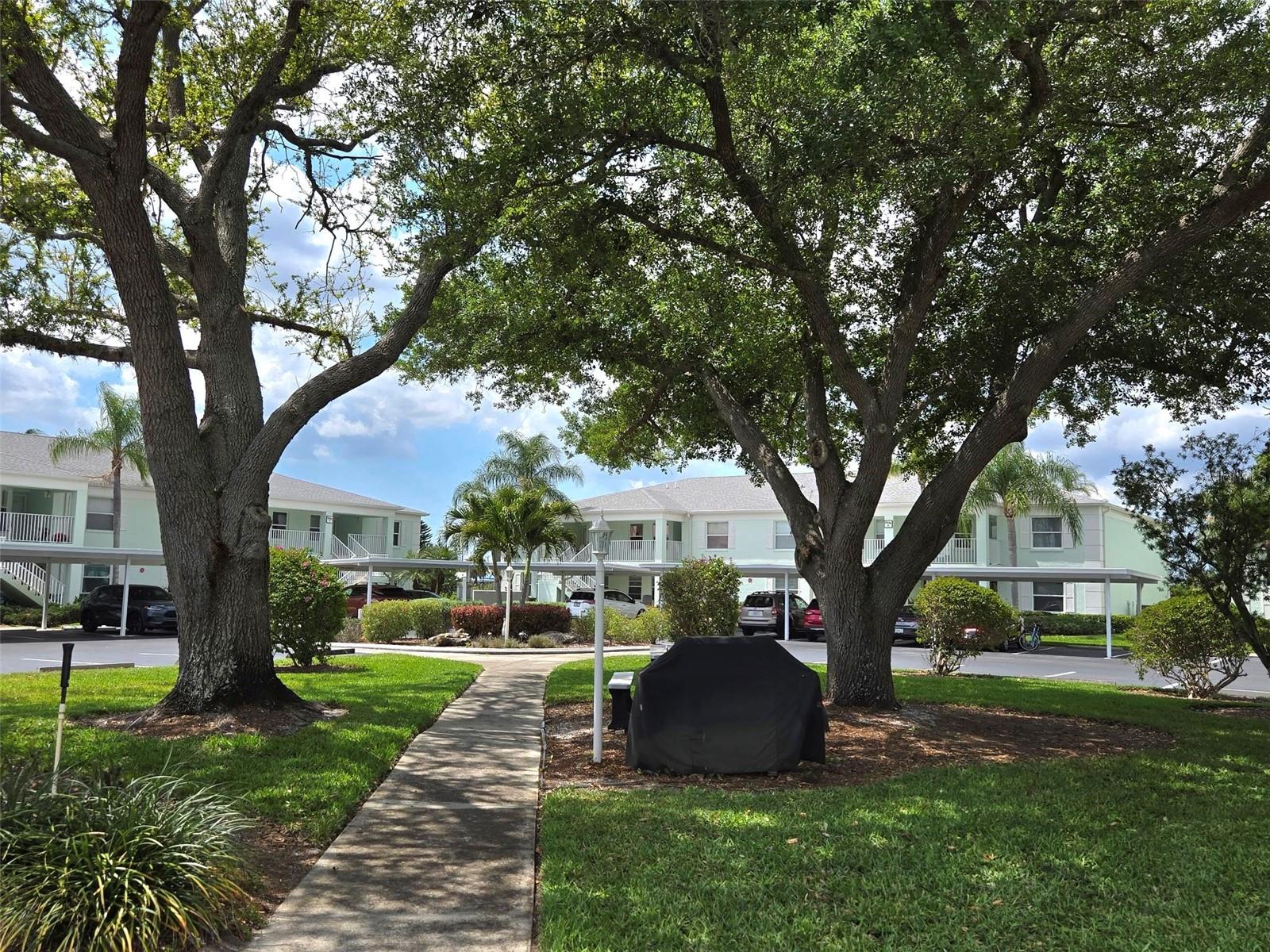 COCOPLUM - Residential