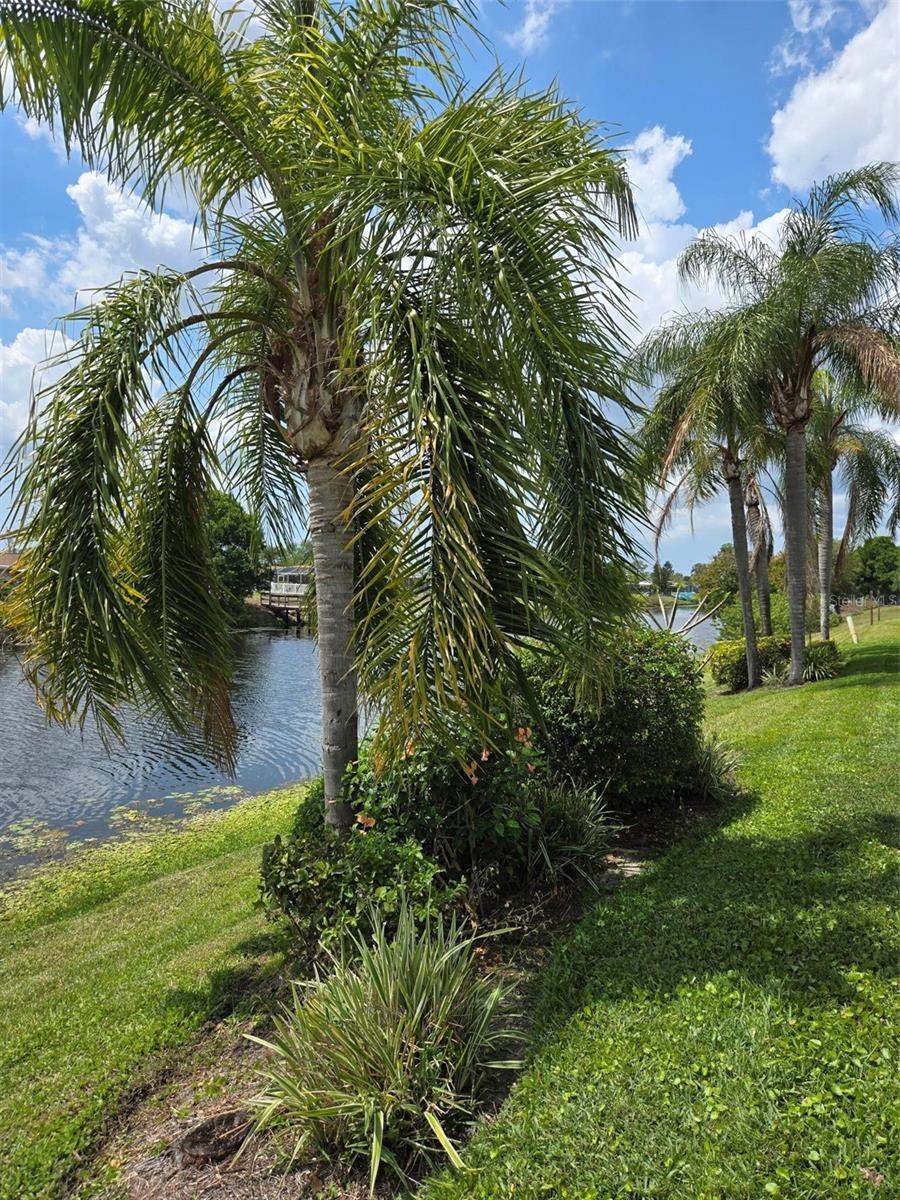 COCOPLUM - Residential