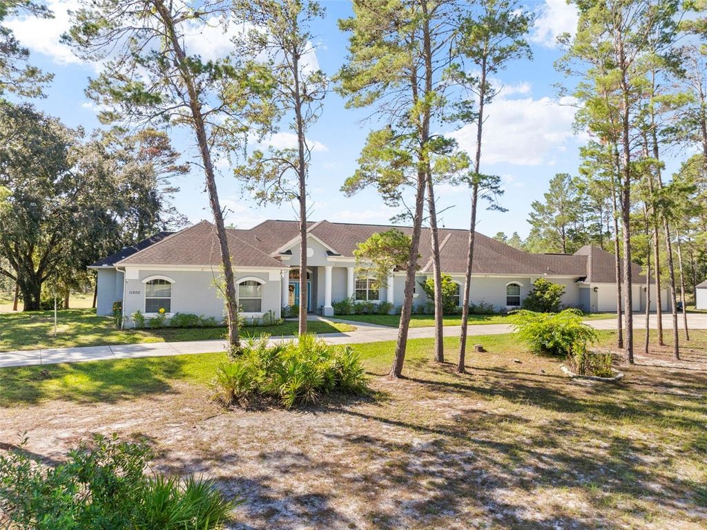 Photo of 11200 Woodland Waters Boulevard, Weeki Wachee, FL 34613 (MLS # W7879951)