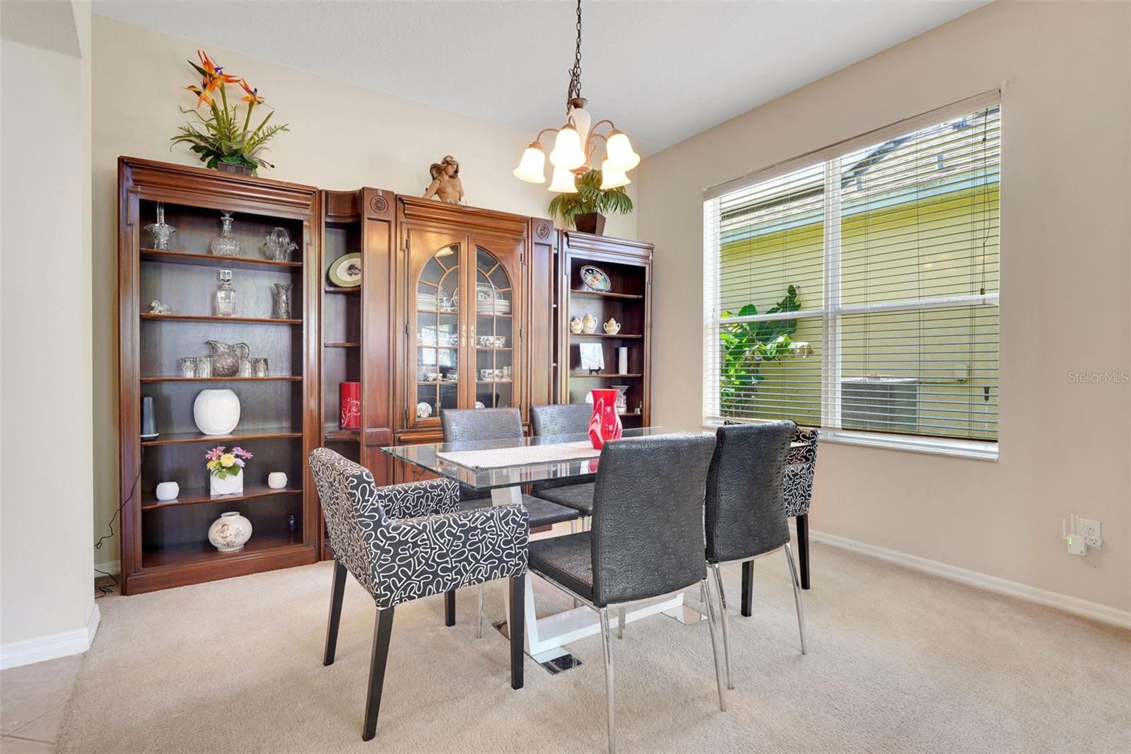 33919 TERRAGONA DRIVE