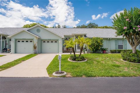 9238 ESTRELLA COURT NEW PORT RICHEY FL 34655