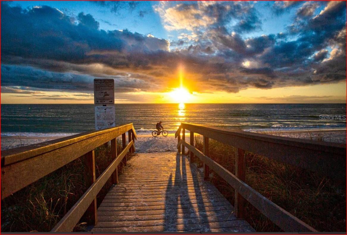 COPA PALMS CONDO - Residential