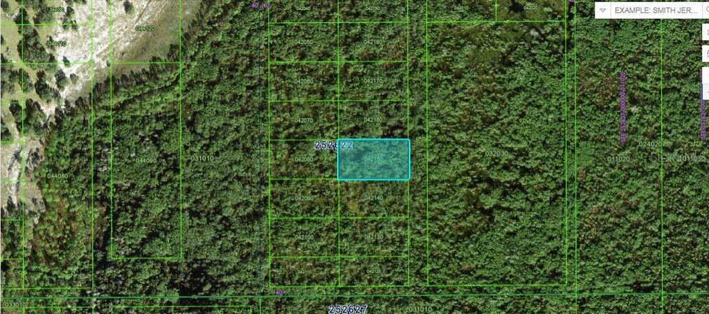 Photo of Commonweallth Ave N, Polk City, FL 33868 (MLS # O6264425)