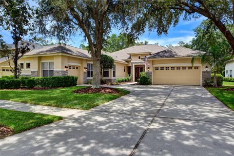 A home in VALRICO