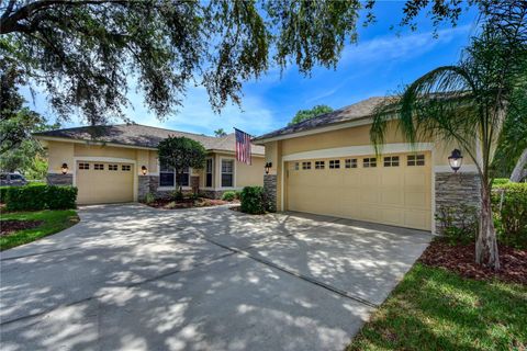 A home in VALRICO