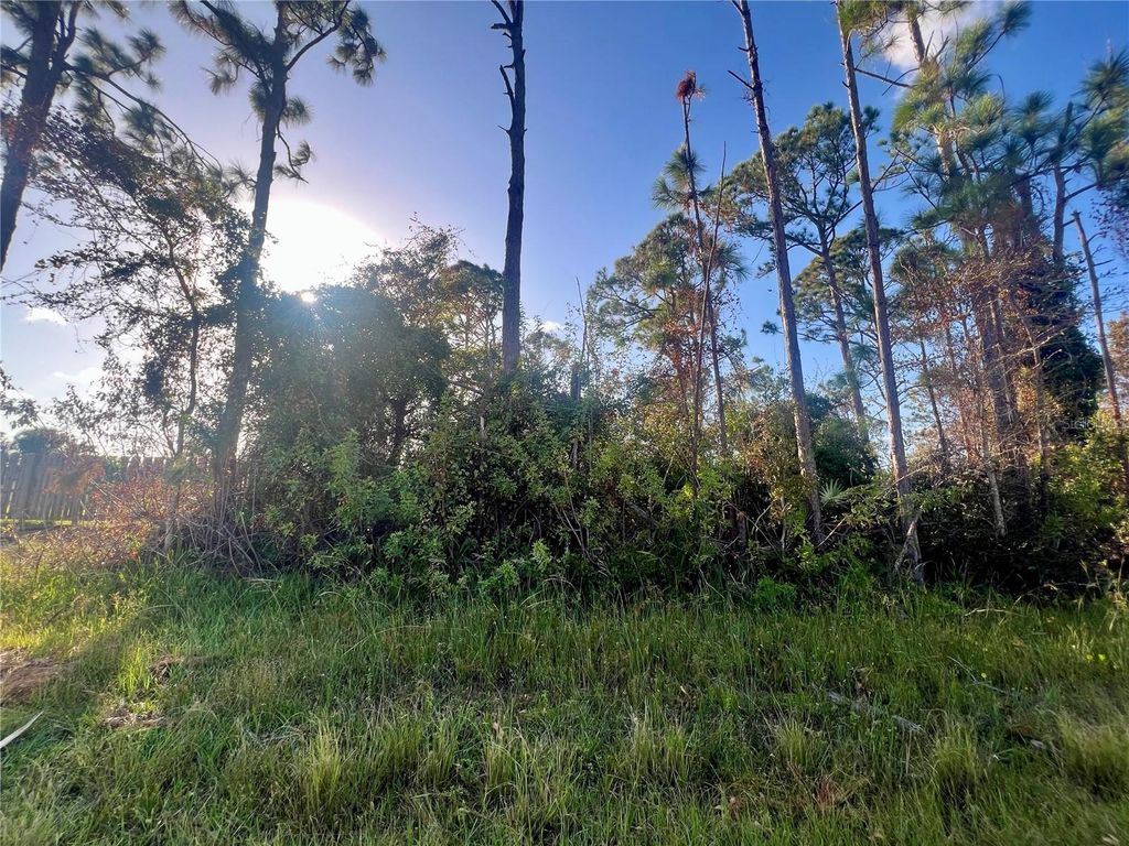 Photo of 5449 Burgner Street, Port Charlotte, FL 33981 (MLS # C7498870)