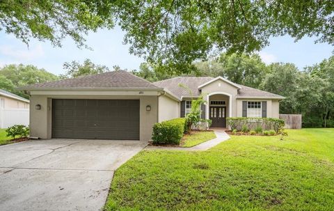 A home in RIVERVIEW