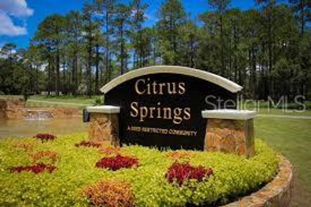 Photo of 8545 N Wallingford Avenue, Dunnellon, FL 34434 (MLS # O6339965)