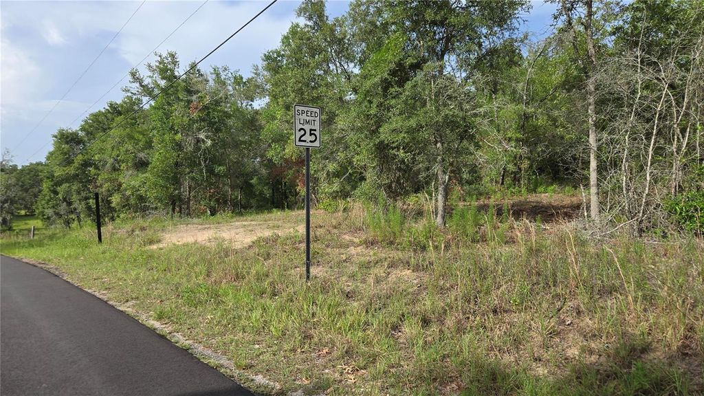 Photo of 4811 N Redwood Avenue, Hernando, FL 34442 (MLS # TB8398174)