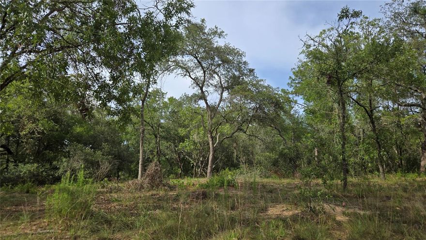 Beautiful treed Vacant lot (Lot 159) measuring approximately 1.17 acres! Recently cleared of underbrush and scrubs, this beautiful treed lot is located in the Tanglewood development in the Hernando area of Citrus County, is high and dry, and located on an asphalt county road. Currently zoned LDR-MH you can build or have a mobile or manufactured home on the site per the County zoning regulations. Close to shopping, retail, and medical services and only about 15 minutes to beautiful and vibrant Downtown Inverness! Come enjoy that country setting and country feel yet close to everything! Home site is in walking distance to the Tsala Apopka Chain Of Lakes, and only about 20 minutes to Crystal River and 30 minutes to Homosassa and the Gulf! The adjacent Lot 160 (corner lot measuring approximately 1 acre) is also available for sale at $55,000. Or purchase both Lot 159 and Lot 160 together for a discounted sales price of $99,900! and have approximately 2.17 acres with the ability to have TWO adjacent homesites! Well and septic will be needed, and Citrus County has lower impact fees and is a great area to call home! And NO HOA and NO CDD restrictions or fees! Call today!