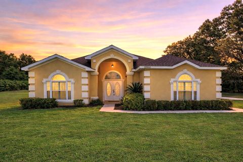 Photo of 20860 SW 36th Street, Dunnellon, FL 34431 (MLS # FC317870)