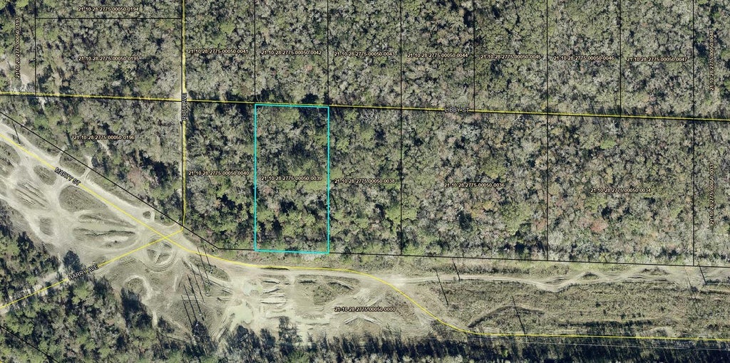 Photo of Marty Street, Hastings, FL 32145 (MLS # G5116465)
