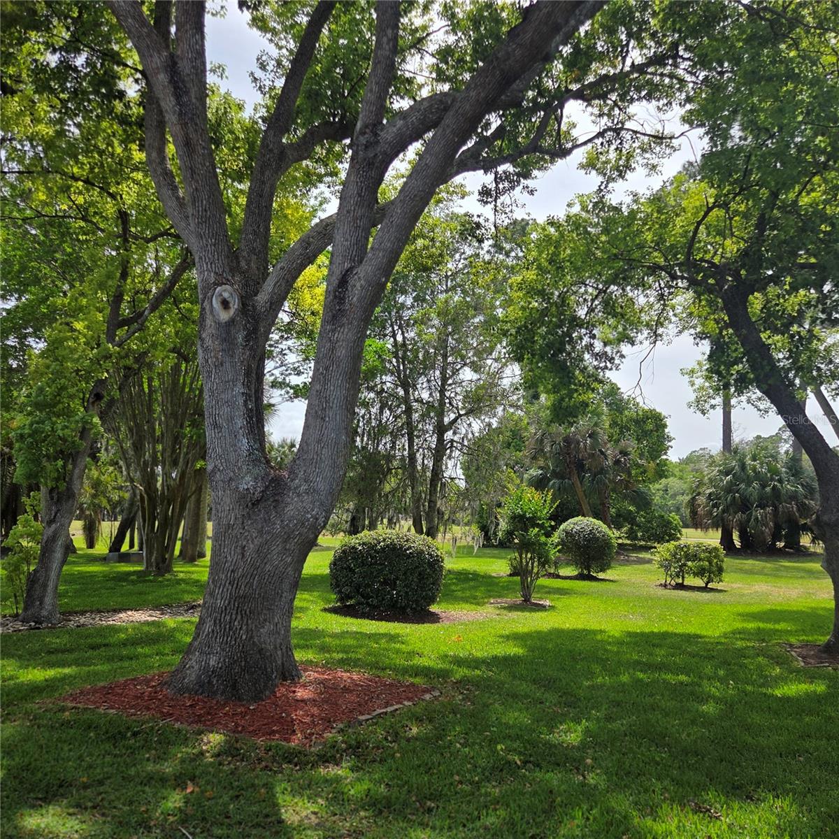 LAKE FOREST & LAKE FOREST NORTH - Residential