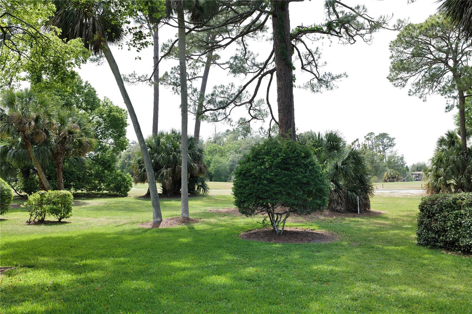 LAKE FOREST & LAKE FOREST NORTH - Residential