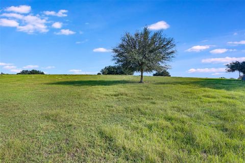 SE 156TH PLACE ROAD WEIRSDALE FL 32195