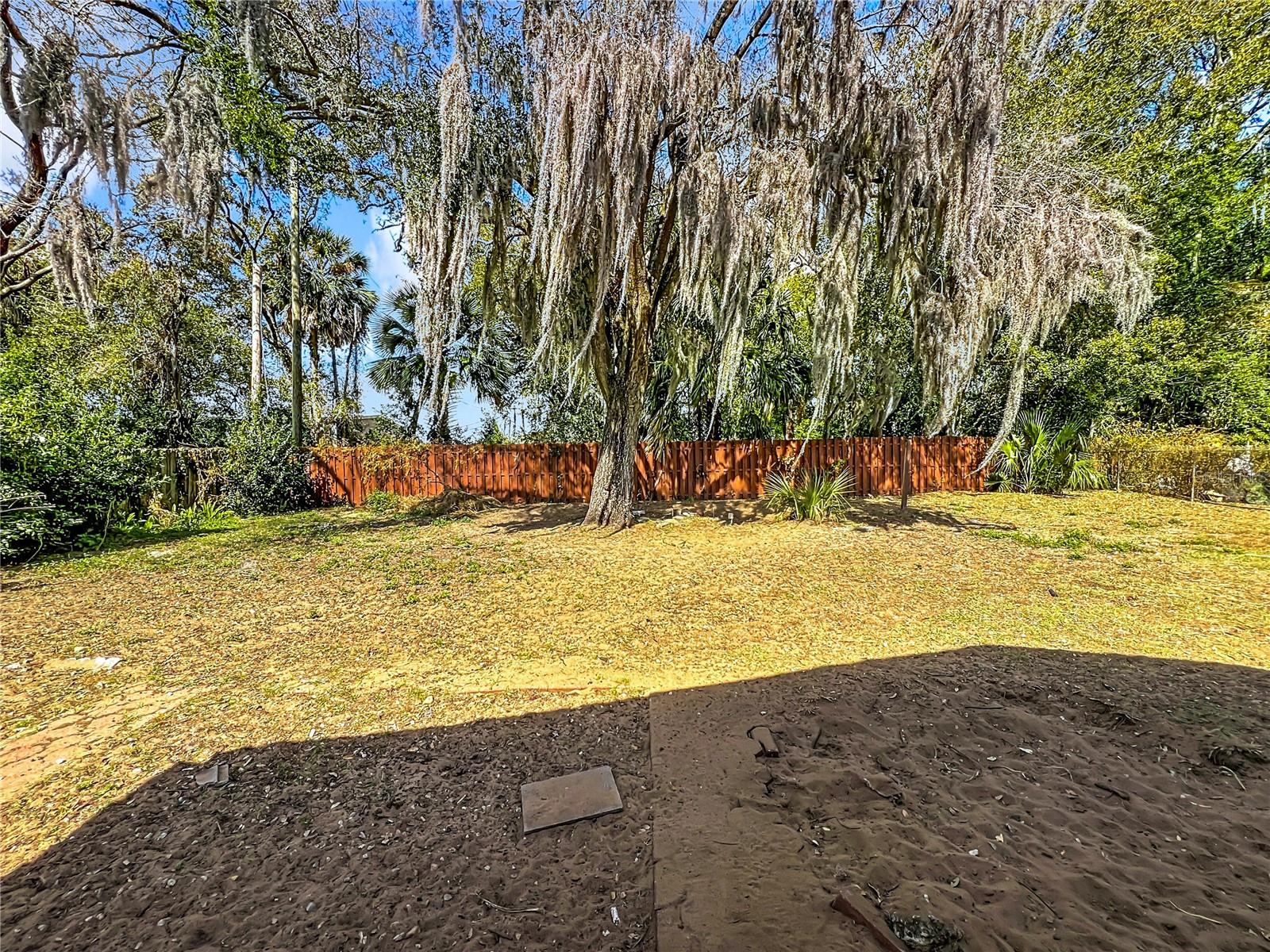 TAVARES LAKE DORA SHORES - Residential