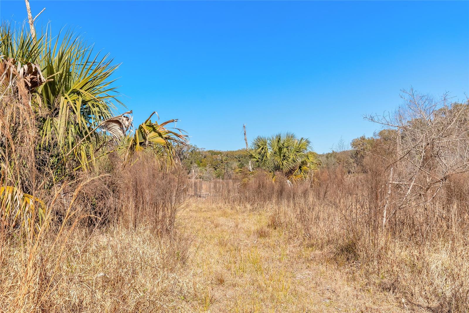 NORRIS DUPONT & GAUDRY GRANT - Land