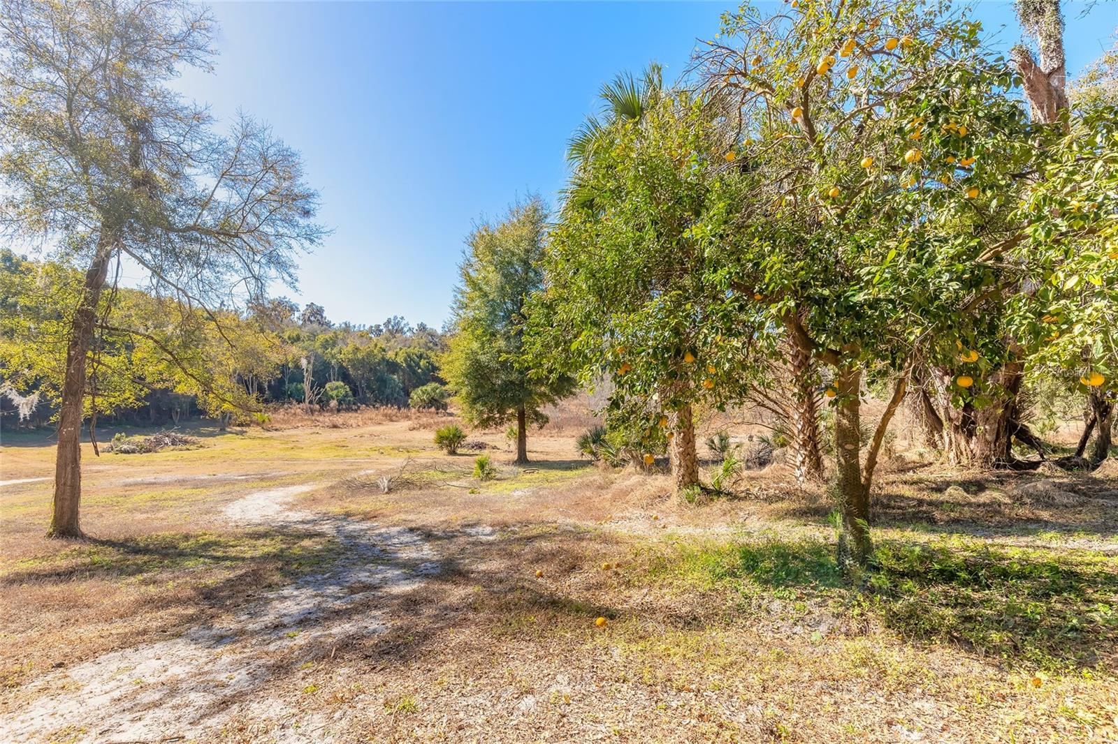 NORRIS DUPONT & GAUDRY GRANT - Land