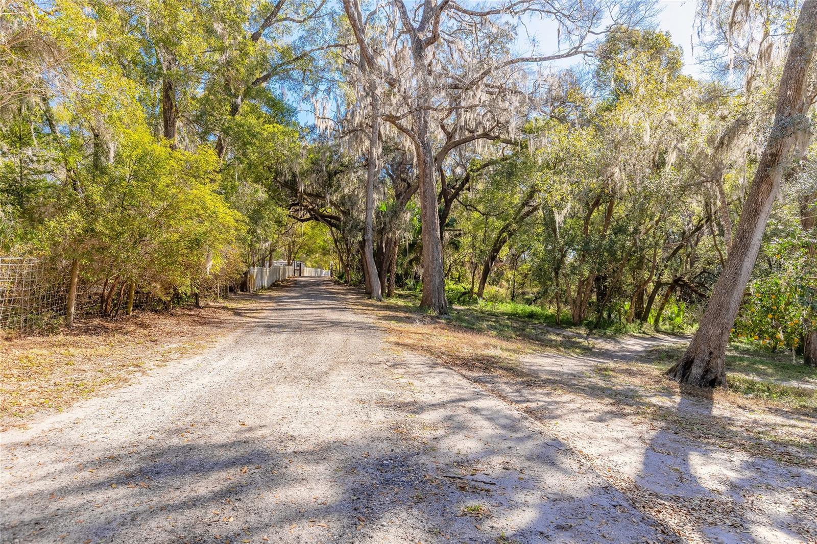 NORRIS DUPONT & GAUDRY GRANT - Land