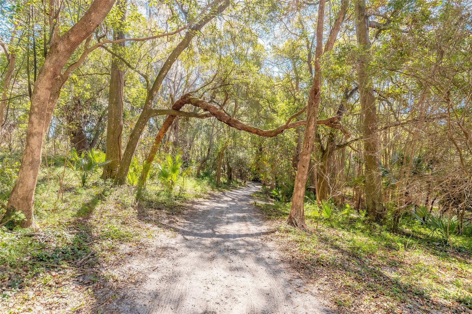 NORRIS DUPONT & GAUDRY GRANT - Land