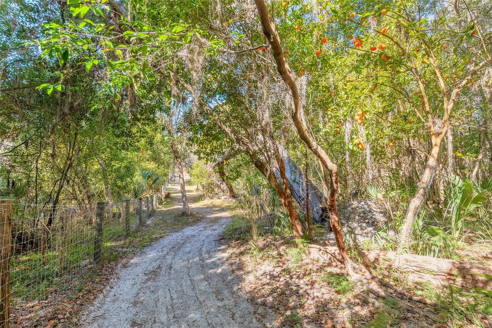 NORRIS DUPONT & GAUDRY GRANT - Land