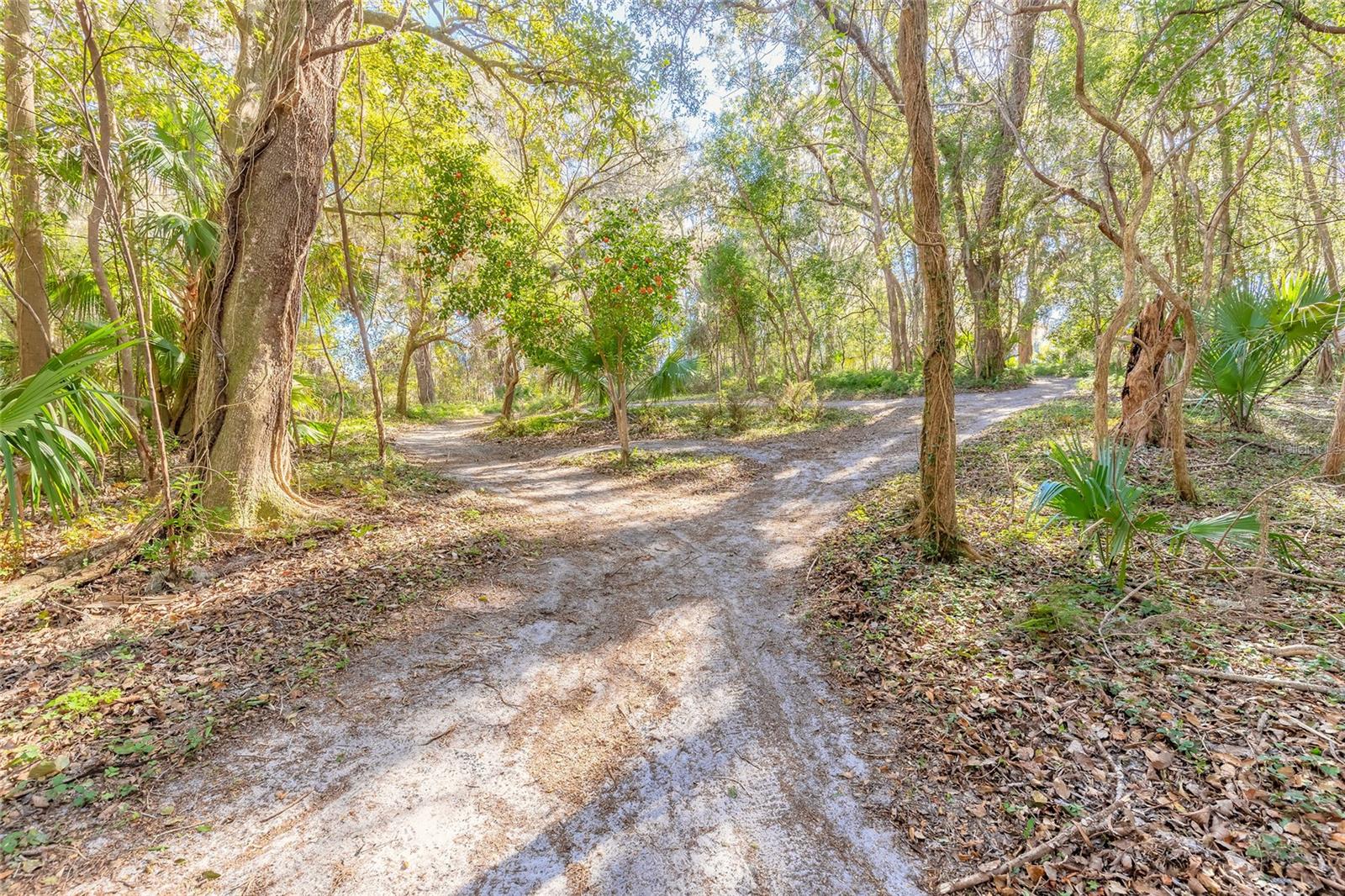 NORRIS DUPONT & GAUDRY GRANT - Land