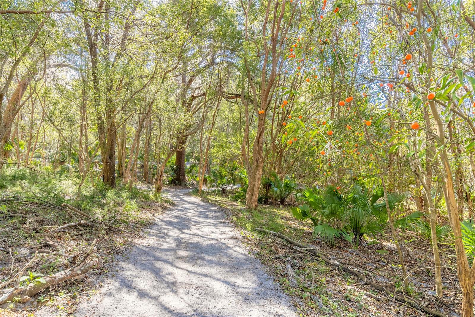 NORRIS DUPONT & GAUDRY GRANT - Land