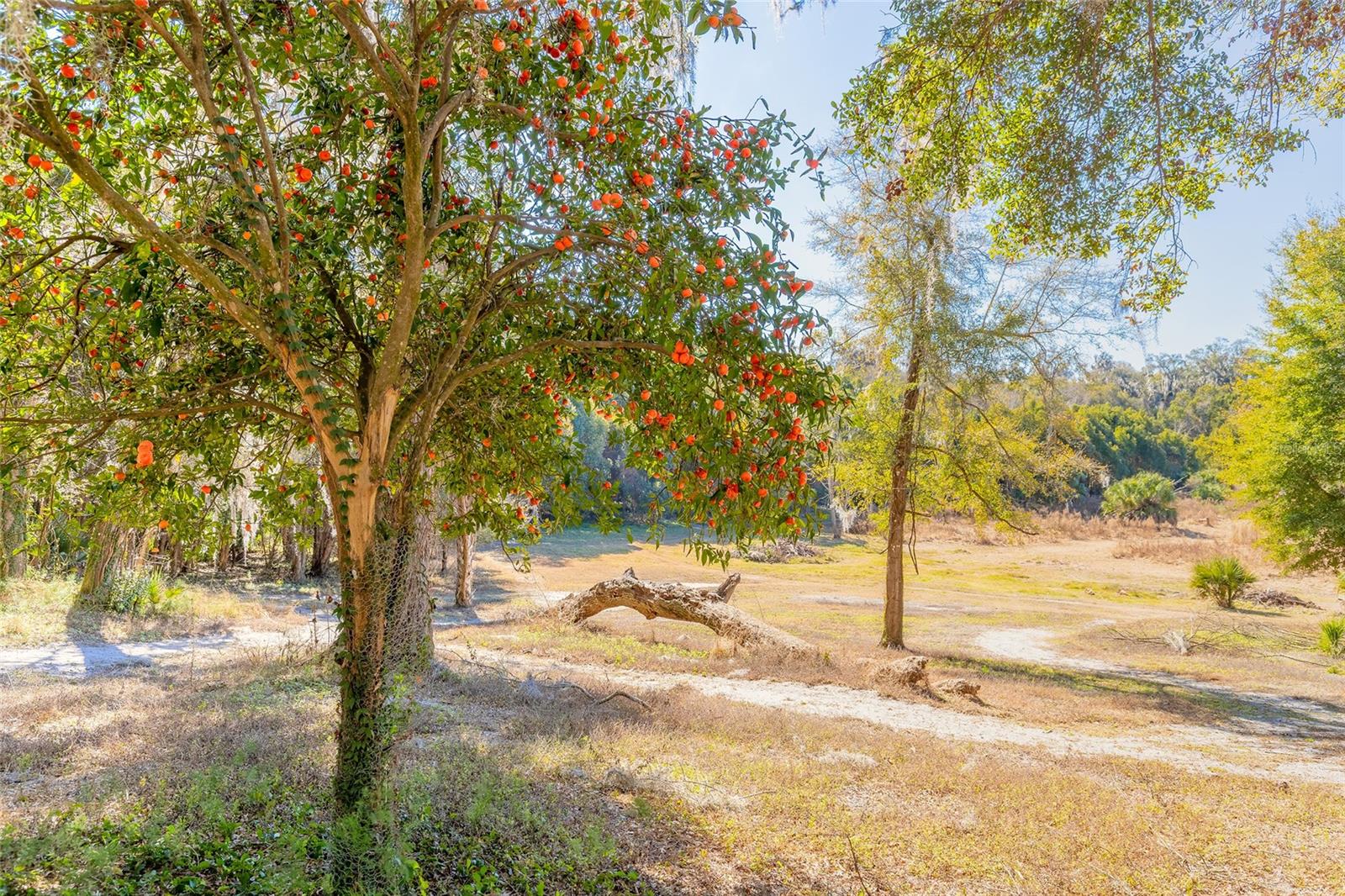 NORRIS DUPONT & GAUDRY GRANT - Land