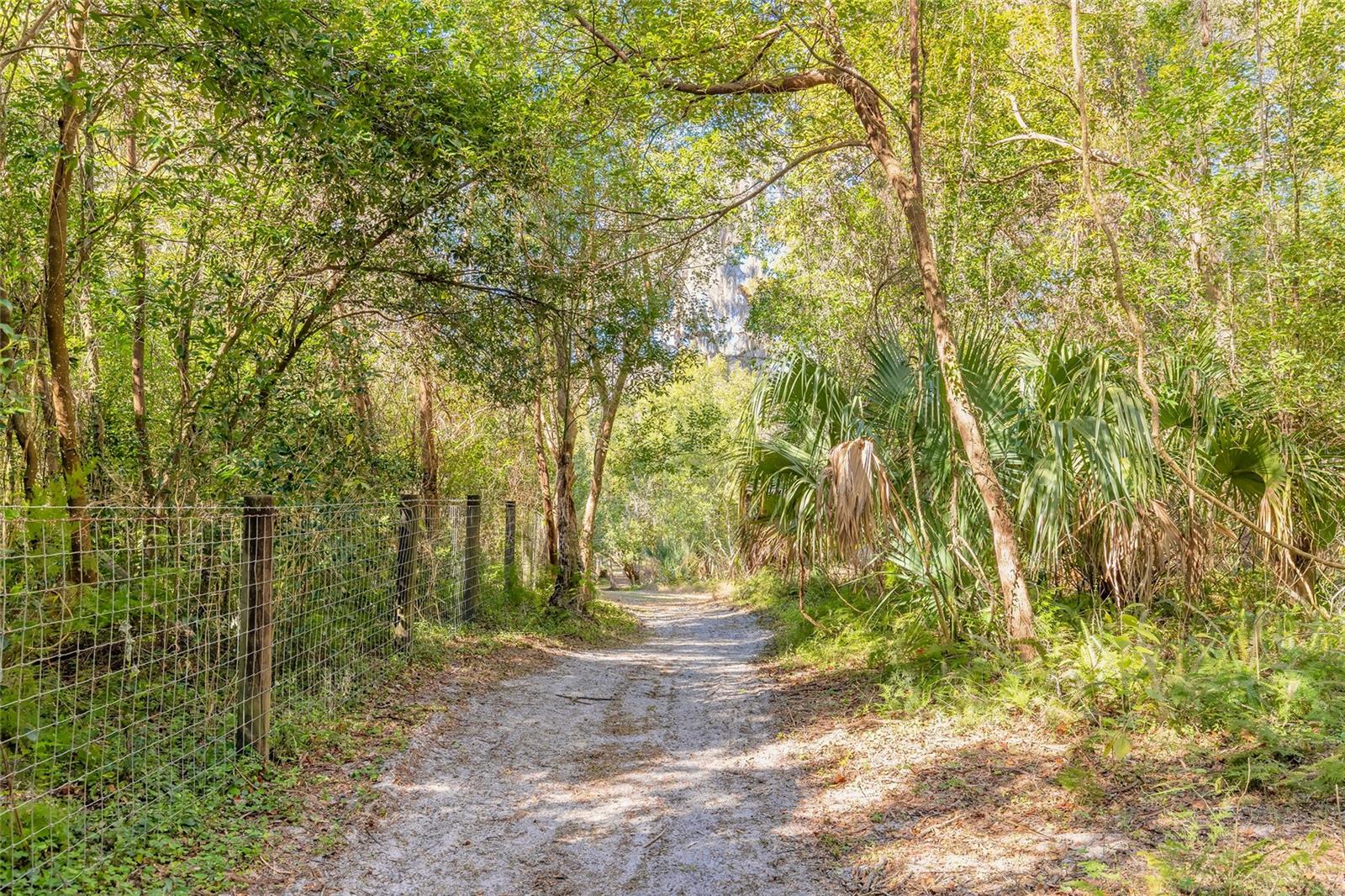 NORRIS DUPONT & GAUDRY GRANT - Land