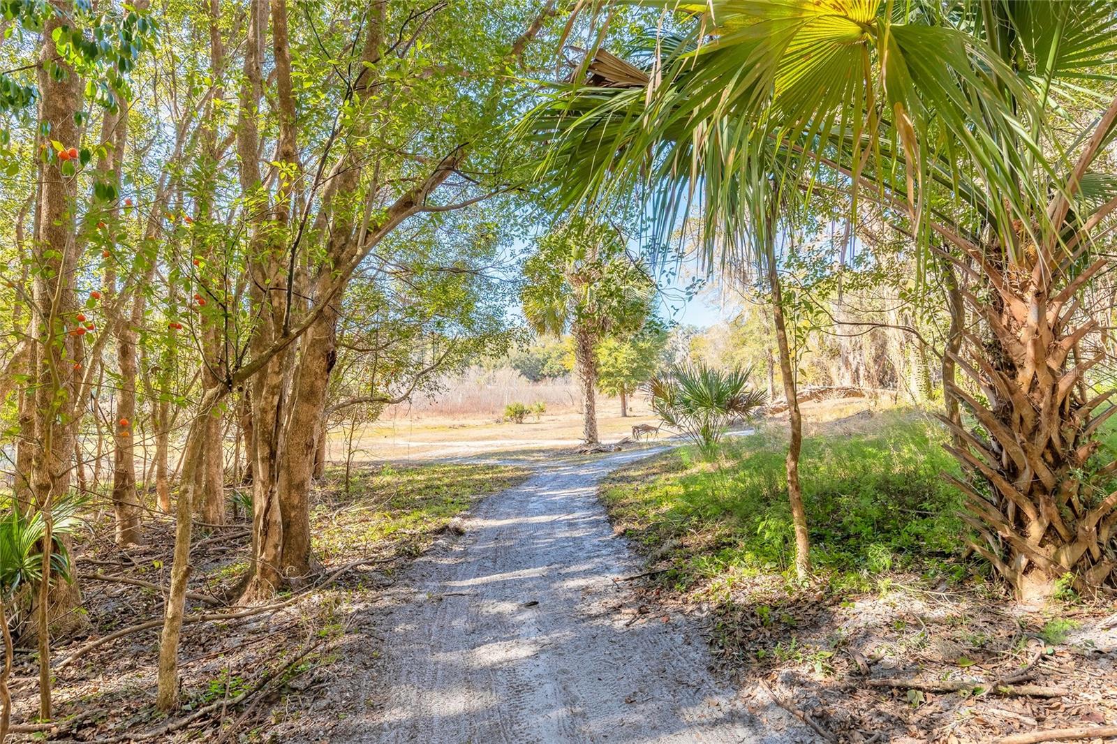 NORRIS DUPONT & GAUDRY GRANT - Land