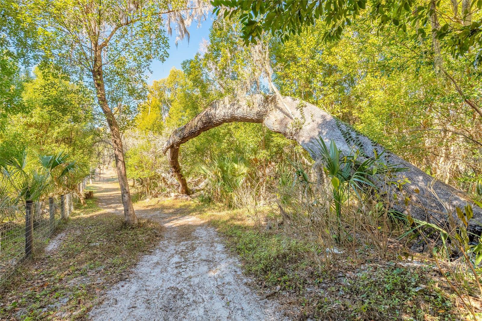 NORRIS DUPONT & GAUDRY GRANT - Land