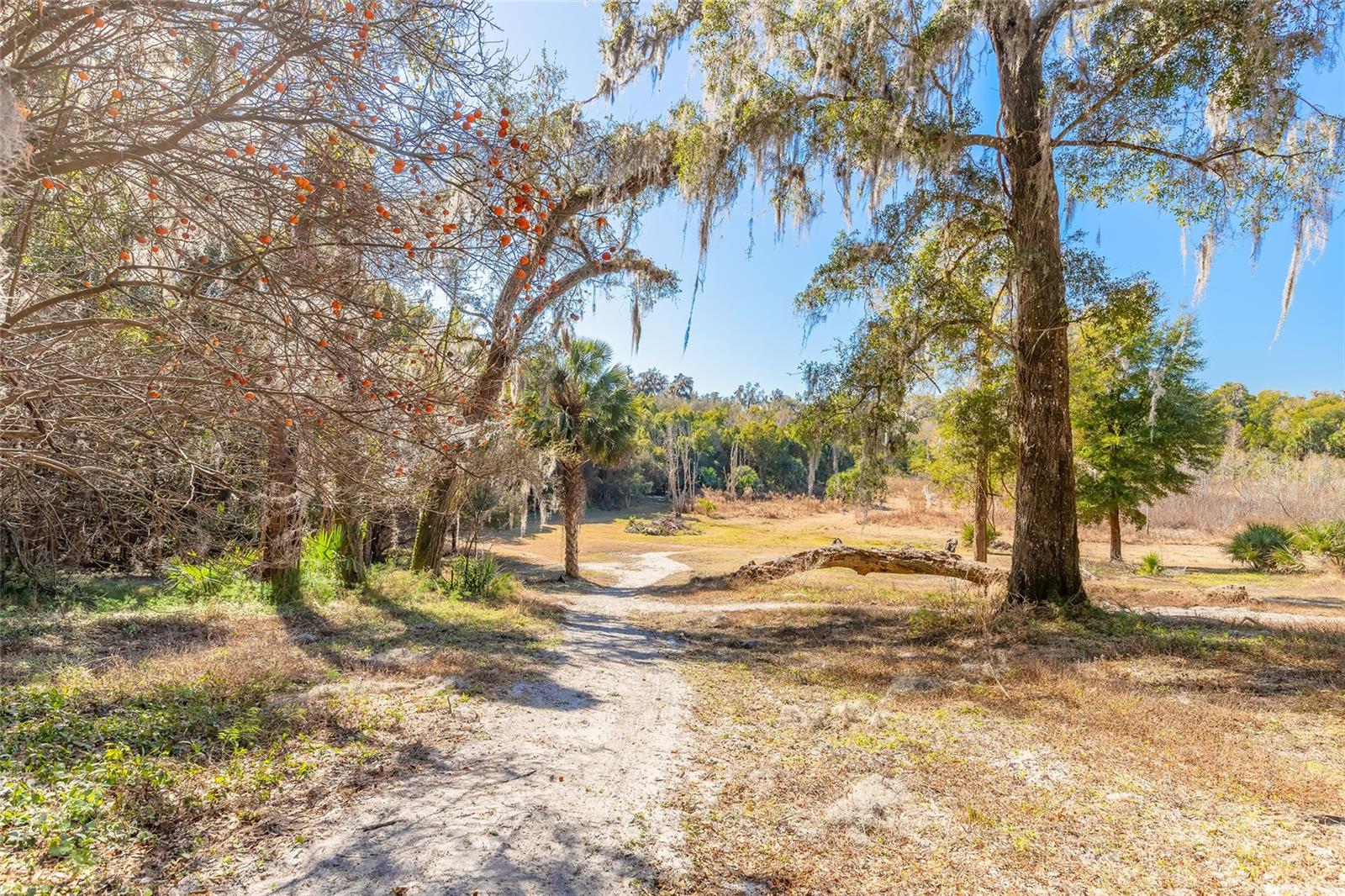 NORRIS DUPONT & GAUDRY GRANT - Land