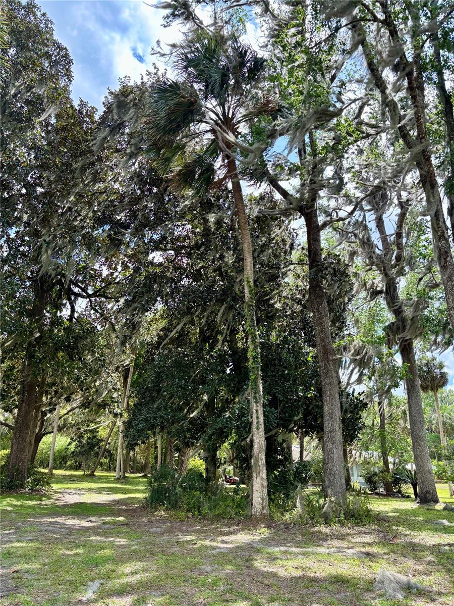 LITTLE ORANGE LAKE - Land