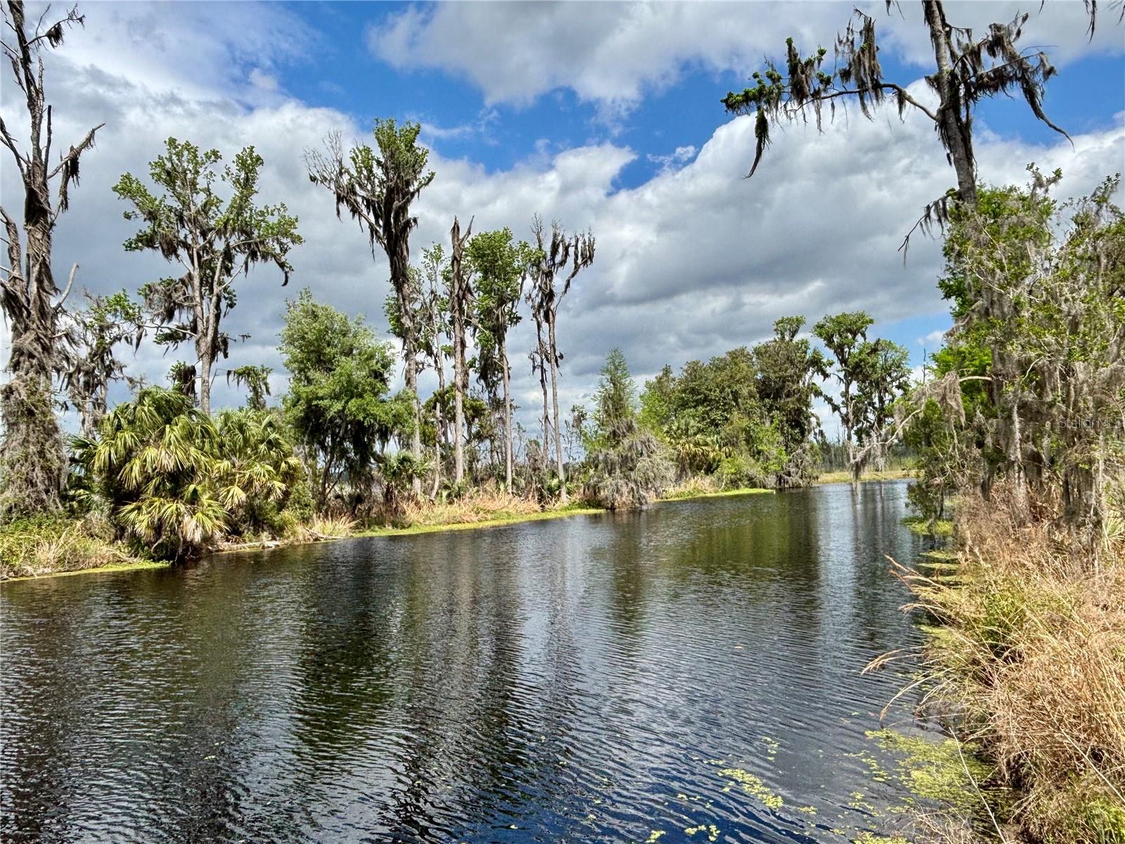 LITTLE ORANGE LAKE - Land
