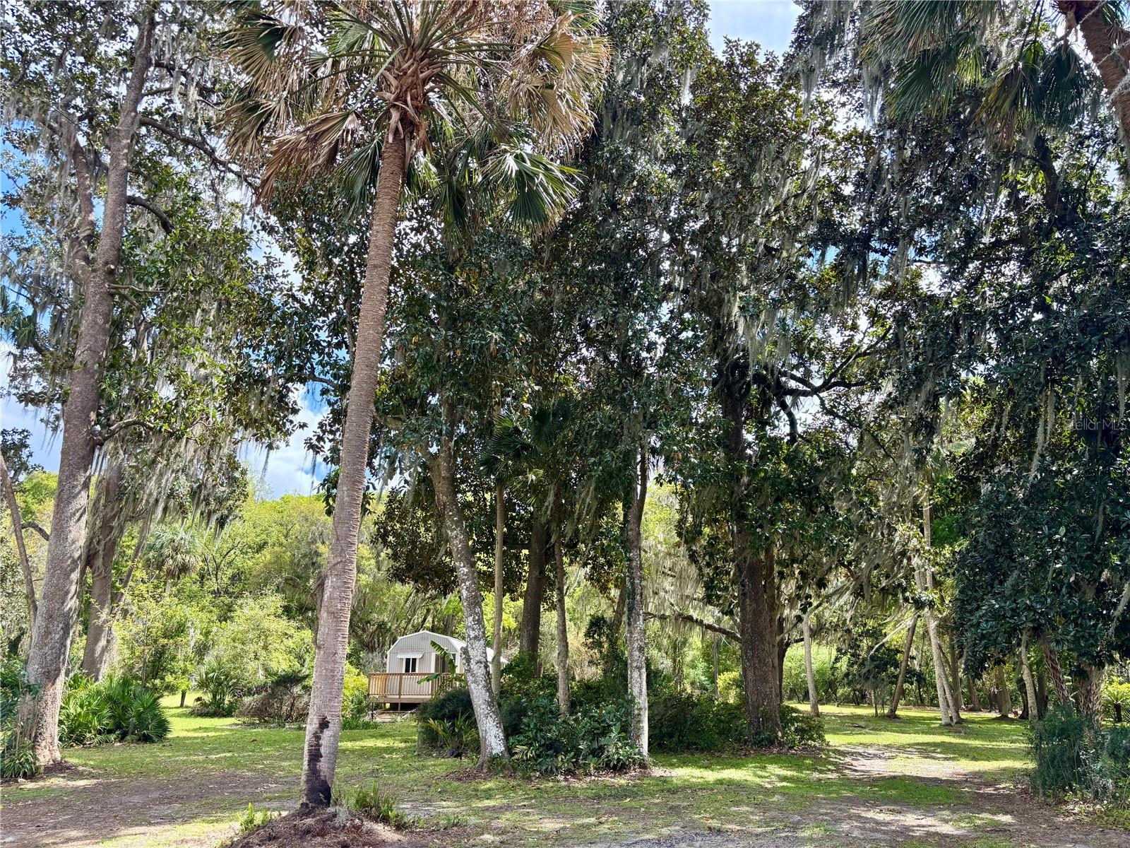 LITTLE ORANGE LAKE - Land