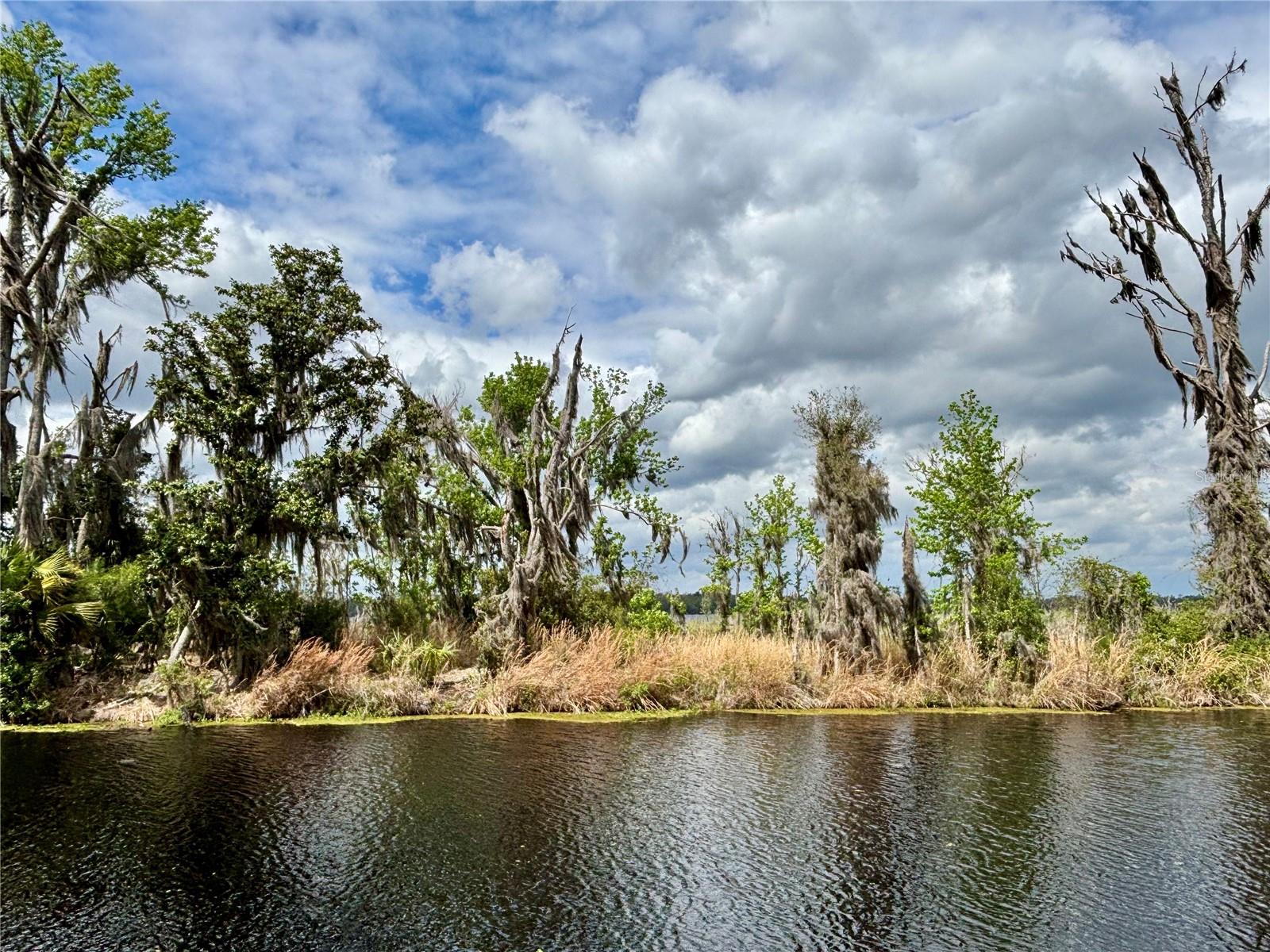 LITTLE ORANGE LAKE - Land