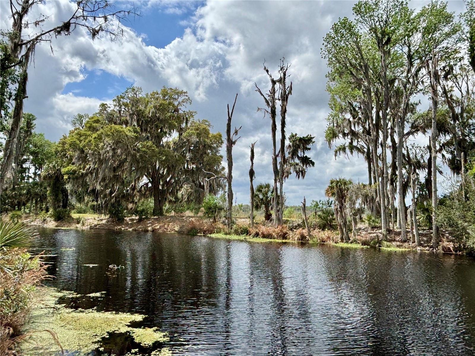 LITTLE ORANGE LAKE - Land