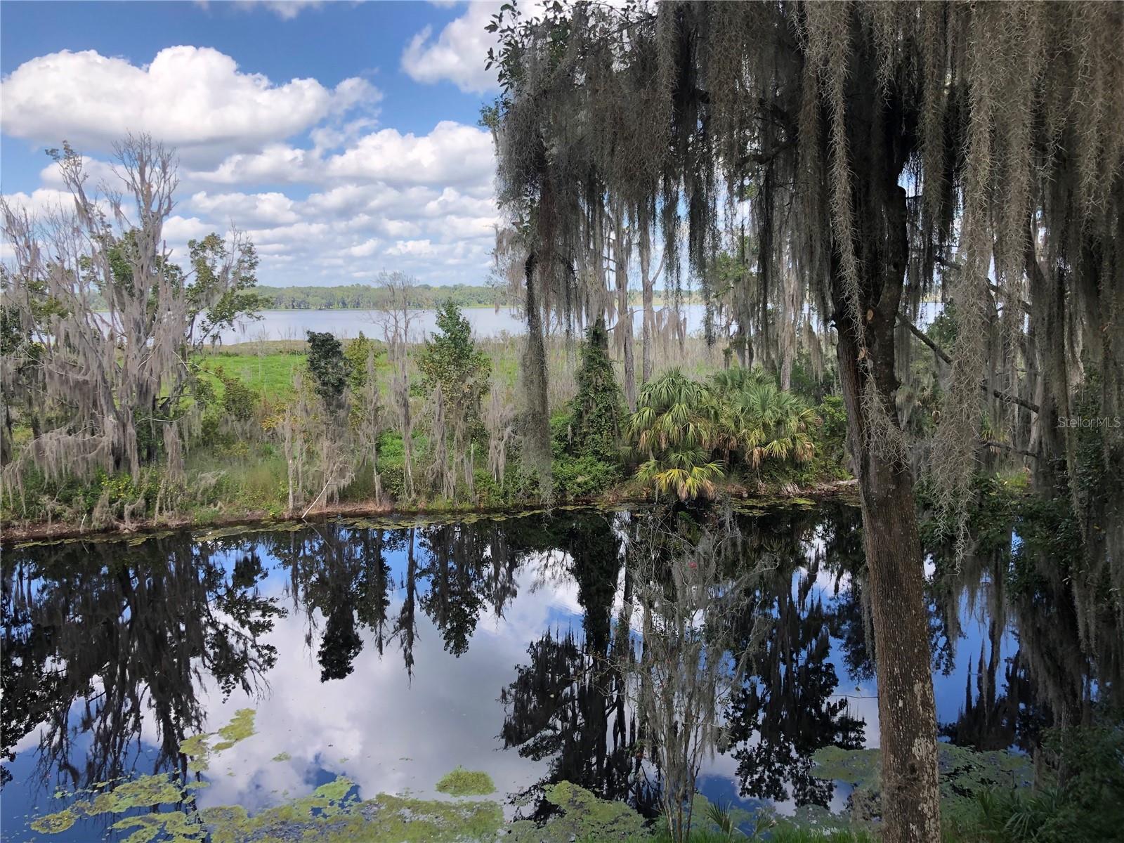 LITTLE ORANGE LAKE - Land