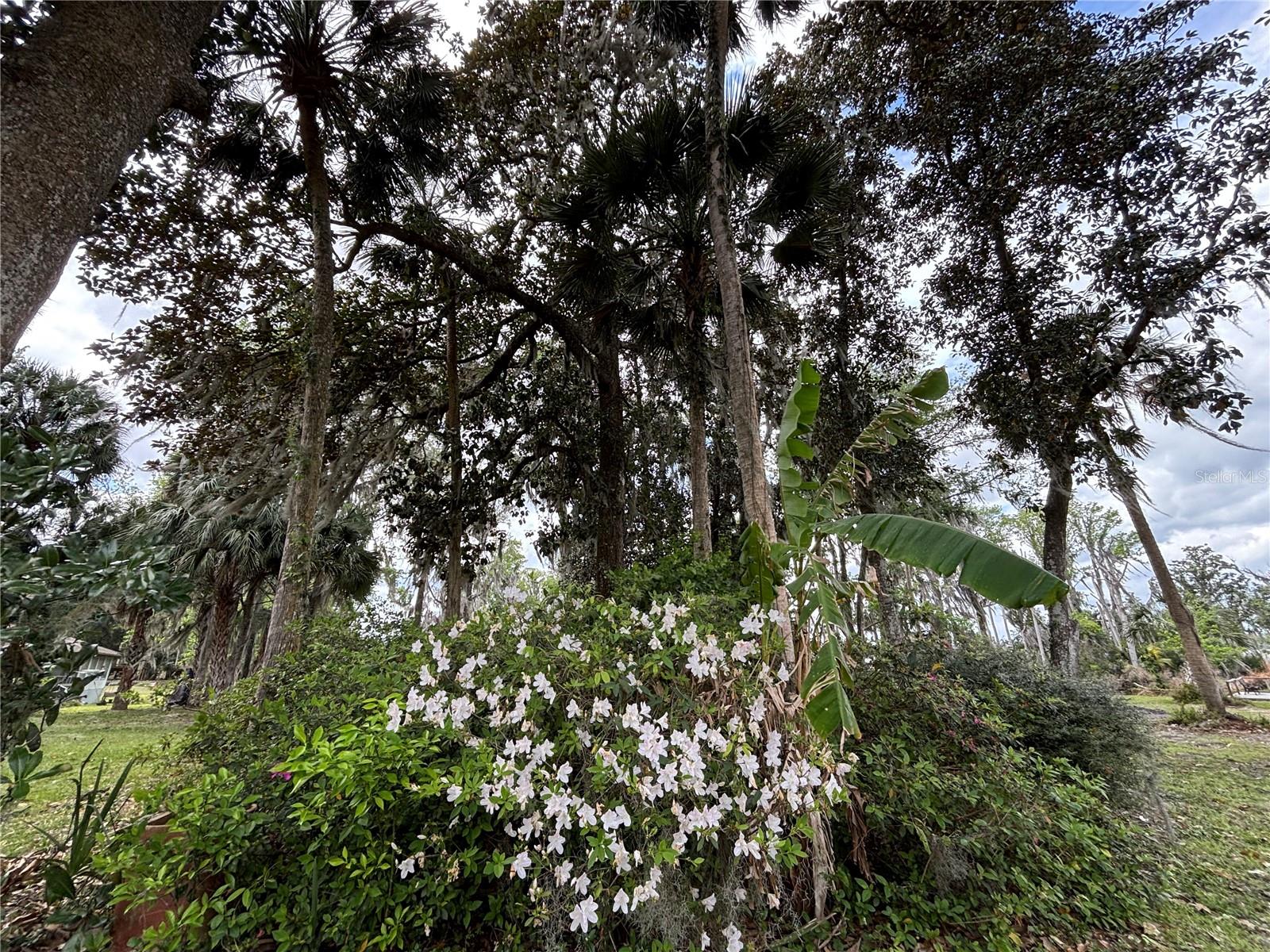 LITTLE ORANGE LAKE - Land