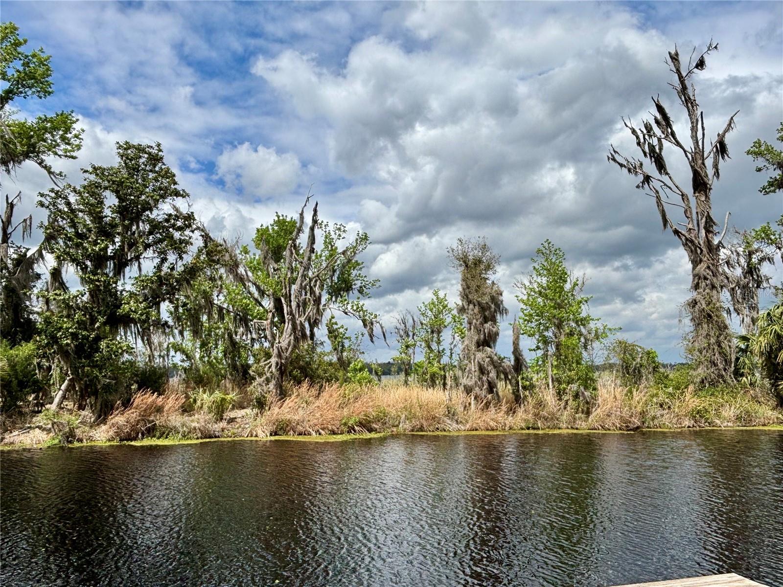 LITTLE ORANGE LAKE - Land