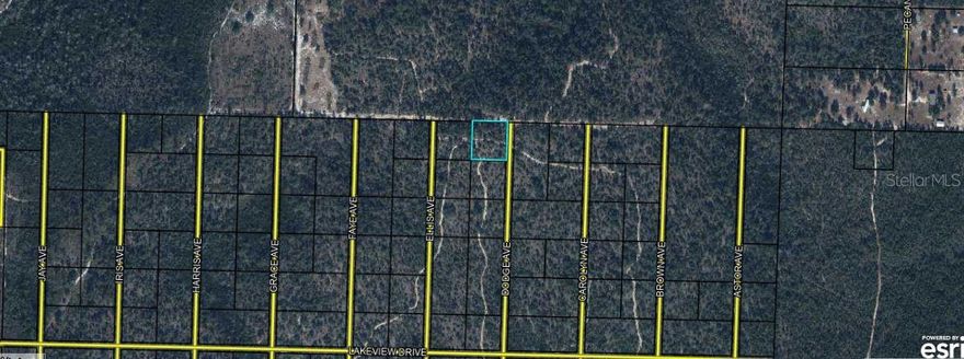 Vacant residential land for sale! This 1-acre lot located on Highway 20 in Youngstown, FL 32466 offers a great opportunity to make a smart investment. With easy road access and a peaceful setting, this property provides the perfect balance of convenience and rural charm.
