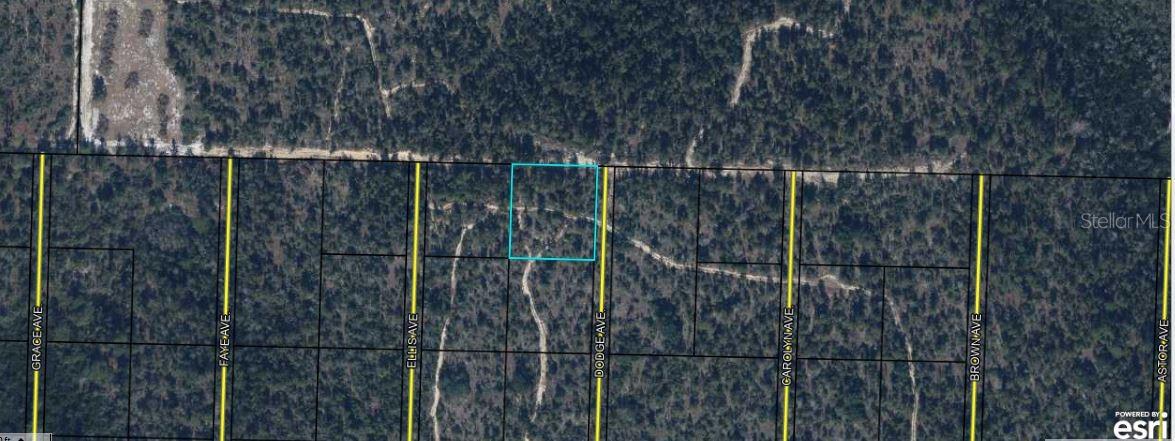 LAKEVIEW ACRES - Land