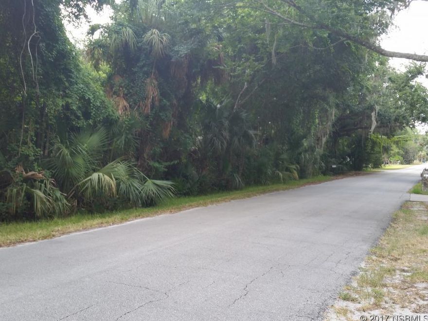 Excellent opportunity to own a large residential parcel centrally located in New Smyrna Beach with beautiful trees, tons of privacy and plenty of space for an good value! This home site is just shy of an acre of land with 100-feet of paved frontage on both James Street and Edgewater Canal Road. With more than 350-feet of depth there is plenty of room to build a large residence and have lots of space left over for privacy. Several large oak trees toward the eastern side of parcel would make for a park-like setting, but in your own backyard. There's even a small pond near one corner of the property. This parcel is only minutes drive to shopping, dinning, schools and the beaches, but is located far enough away to enjoy the peace and quiet. Seller will consider owner financing offers.; Cleared: No ;Water: Available at Site