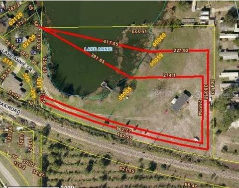 305 LAKE ANNIE DR. APOPKA FL 32703