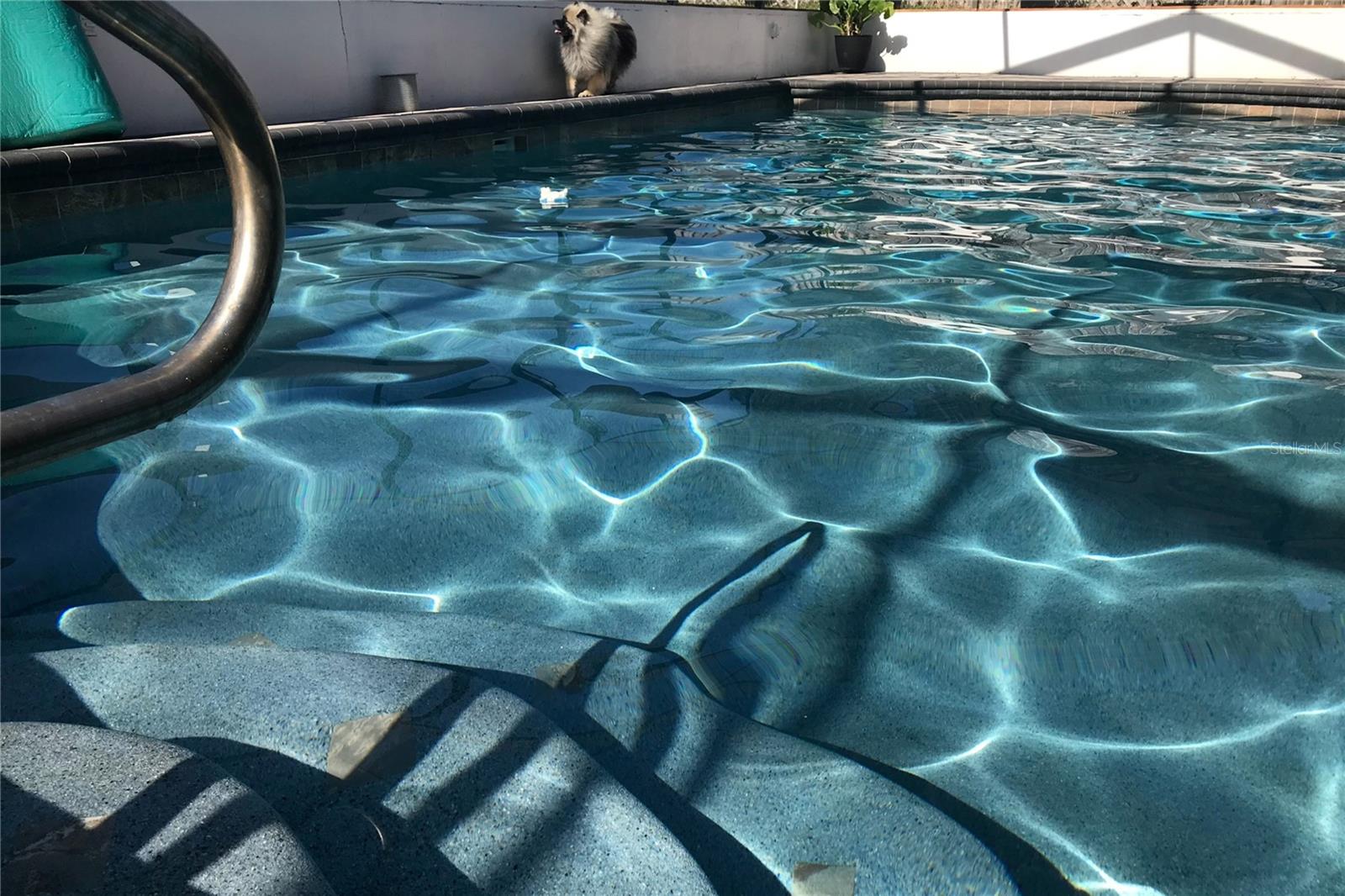 SEVEN HILLS - Residential